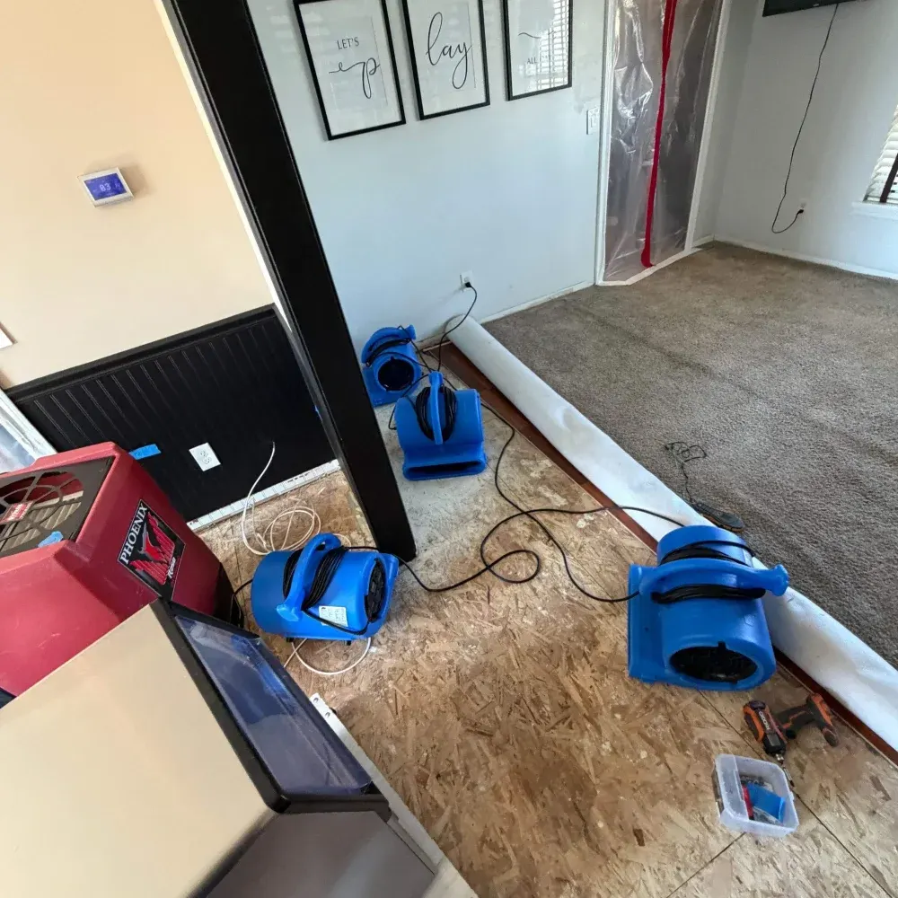 IICRC certified drying setup in Johnson County, IN