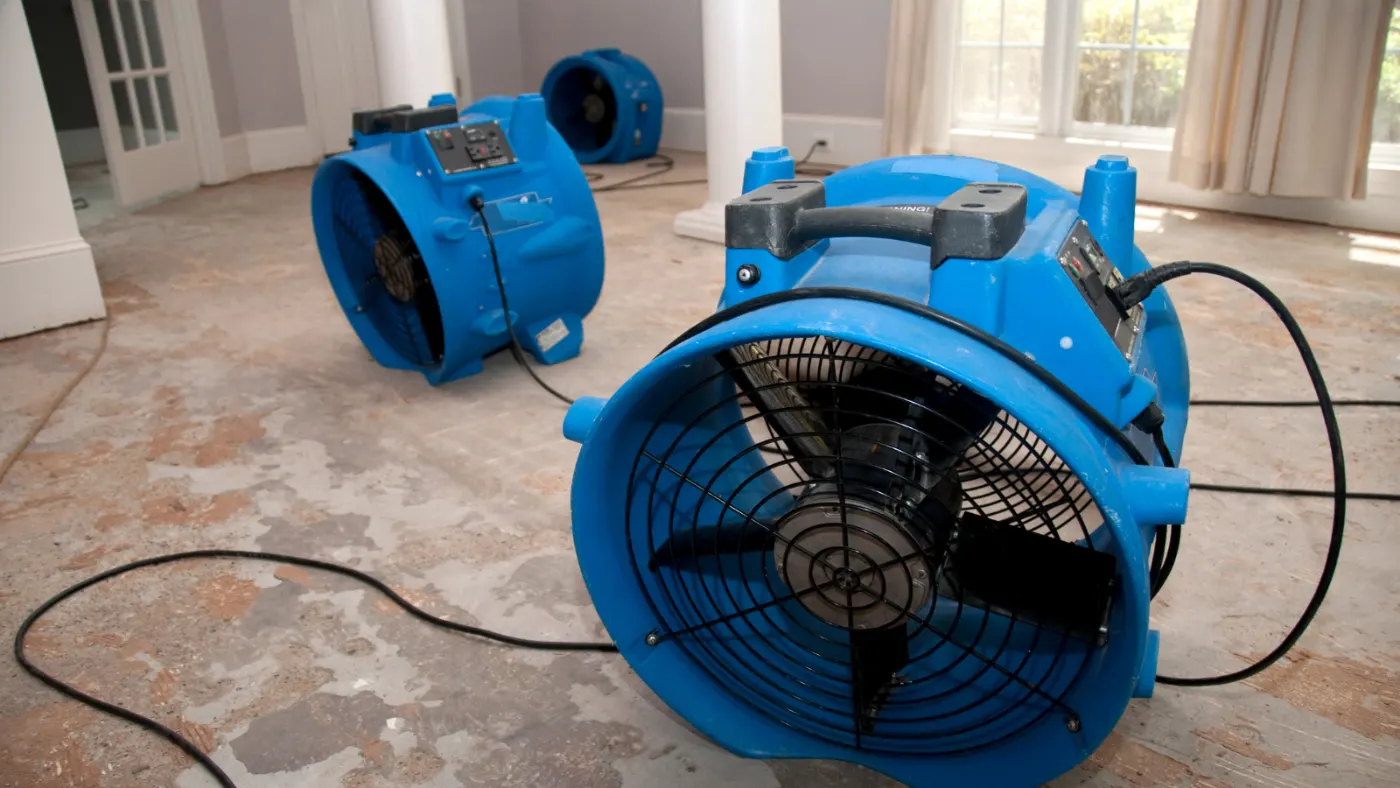 Water damage restoration by New Whiteland Water Restoration near Fountain Square, IN